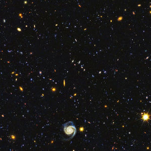 Meet your Posher, Valeria